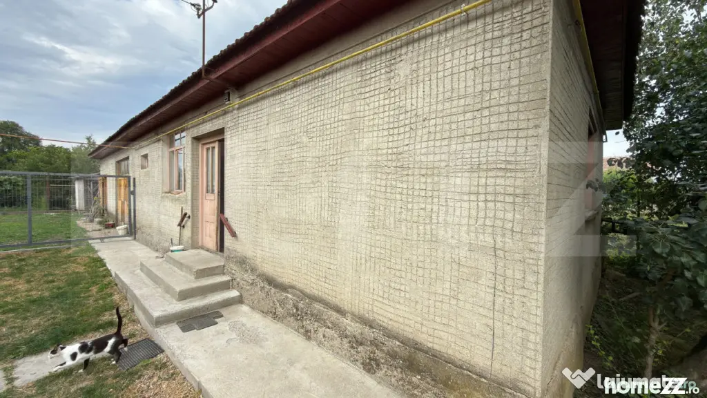 Casă P+1E, 180 mp, teren de 12 ari, anexă locuibilă și g - Satu Mare (Satu-Mare)