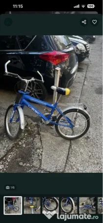 Bicicleta Borg