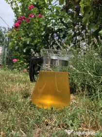 Vand vin alb, demisec, mix fetească albă si fetească regală
