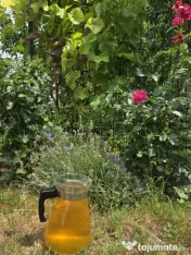 Vand vin alb, demisec, mix fetească albă si fetească regală 