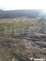 Teren intravilan de vanzare, cu proiect pentru casa