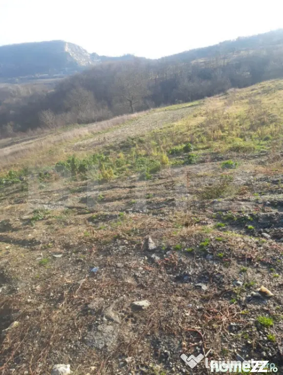 Teren intravilan de vanzare, cu proiect pentru casa - Moigrad Porolissum (Salaj)