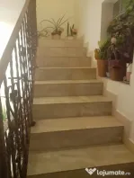 Berceni luica vila orastie