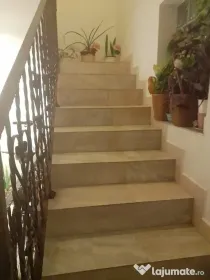 Berceni luica vila orastie