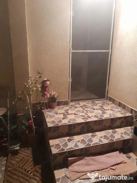 Berceni luica vila orastie