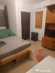 Berceni luica vila orastie