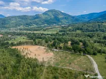 Oportunitate rară! Teren 13.800 mp Râșnov-Glăjărie | Pârâu & Pădure