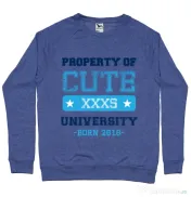 Bluza ADLER barbat Cute university Albastru melanj