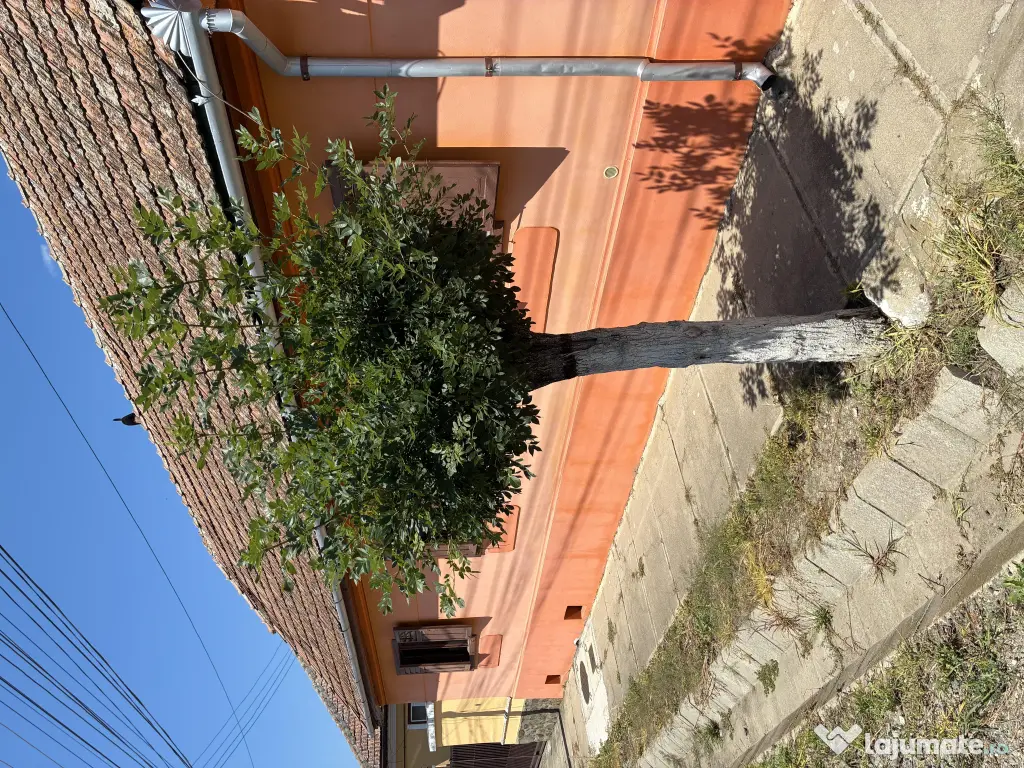 Casa de vanzare + teren 1.080 mp Miercurea Sibiului