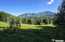 Teren intravilan, Trei Brazi, Predeal