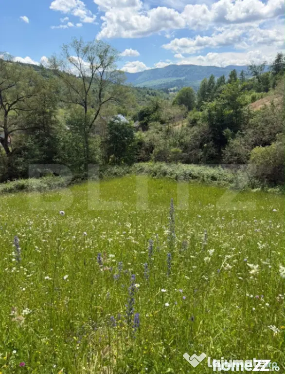 Teren extravilan 5049 mp, Vama, Bucovina - Suceava (Suceava)