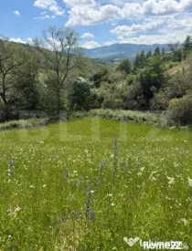 Teren extravilan 5049 mp, Vama, Bucovina