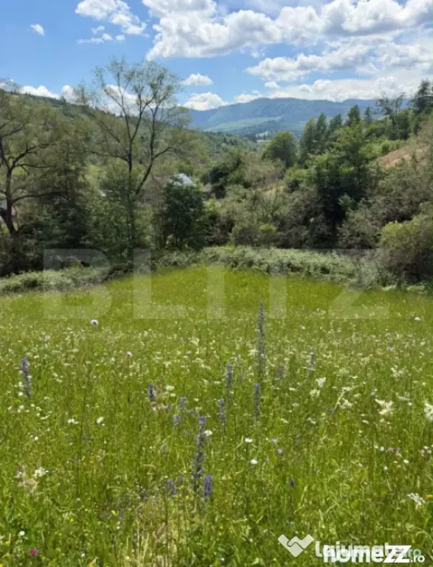 Teren extravilan 5049 mp, Vama, Bucovina - Suceava (Suceava)