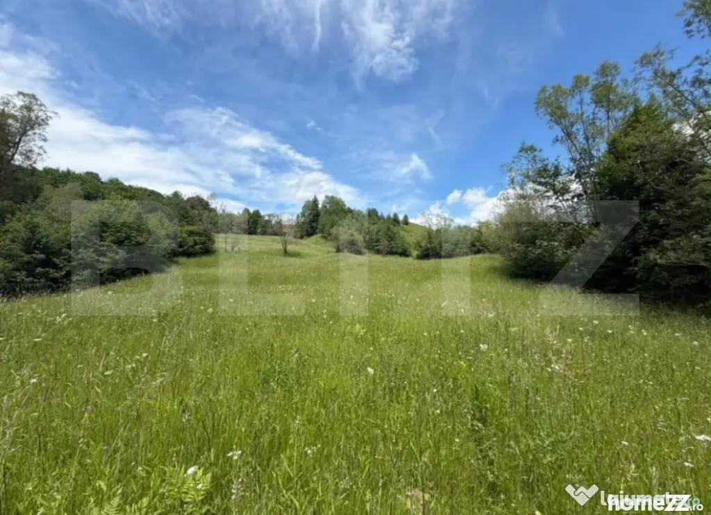 Teren extravilan 5049 mp, Vama, Bucovina - Suceava (Suceava)