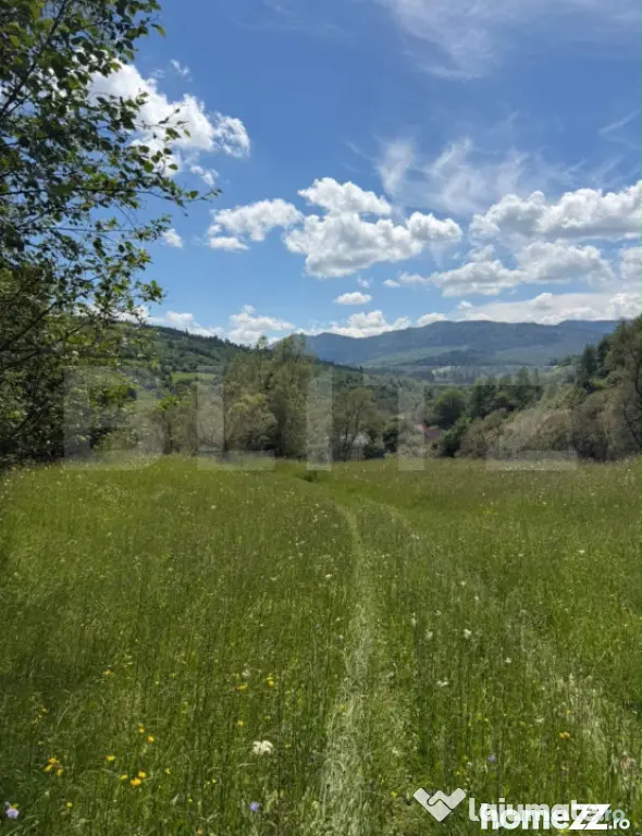 Teren extravilan 5049 mp, Vama, Bucovina - Suceava (Suceava)