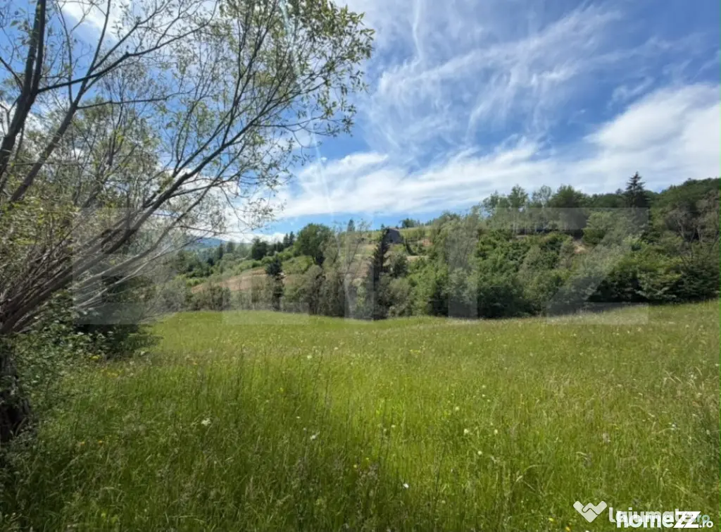 Teren extravilan 5049 mp, Vama, Bucovina - Suceava (Suceava)