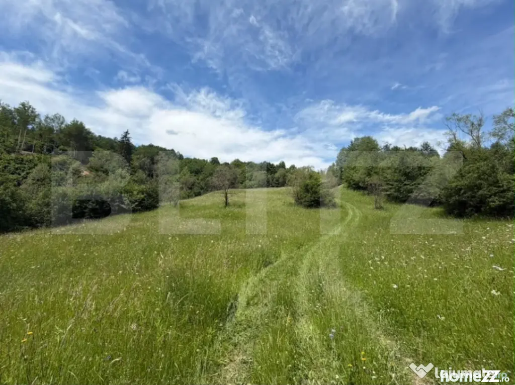 Teren extravilan 5049 mp, Vama, Bucovina - Suceava (Suceava)