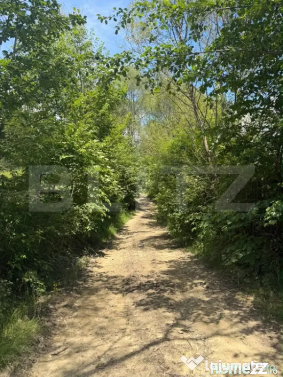 Teren extravilan 5049 mp, Vama, Bucovina - Suceava (Suceava)