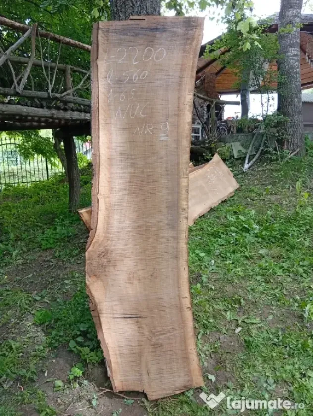 Blaturi din lemn masiv de nuc