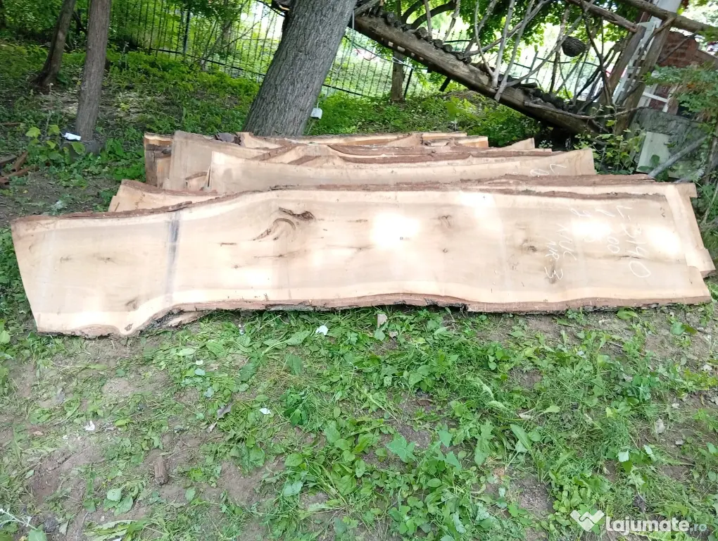Blaturi din lemn masiv de nuc