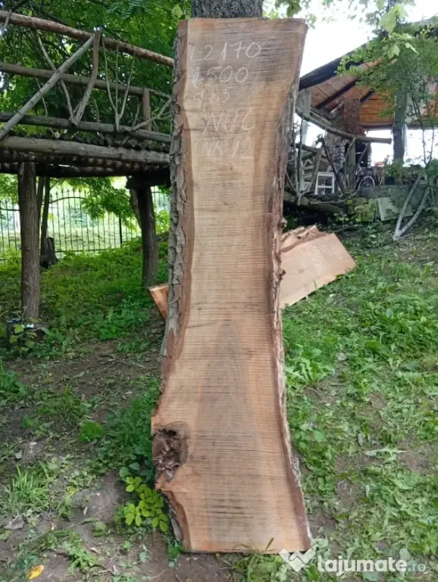 Blaturi din lemn masiv de nuc