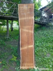 Blaturi din lemn masiv de nuc 
