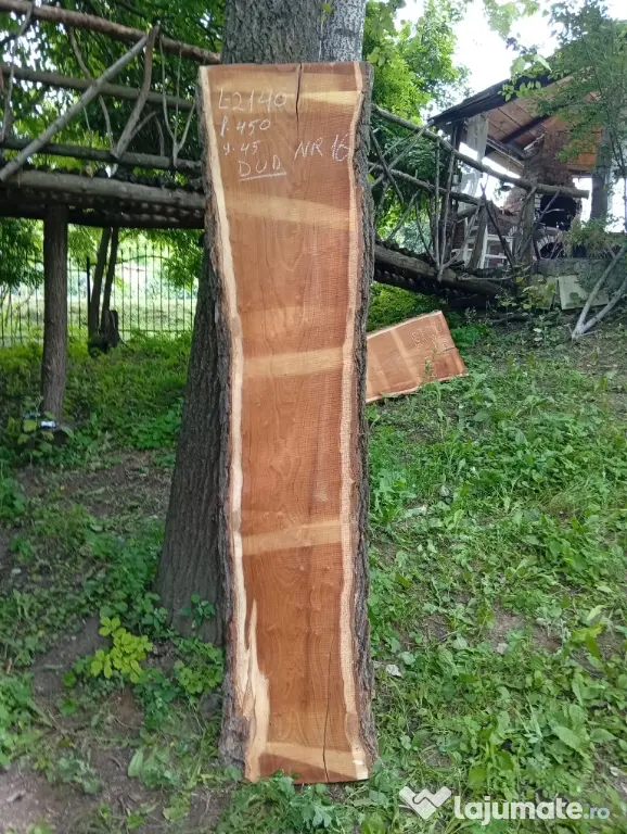Blaturi din lemn masiv de nuc