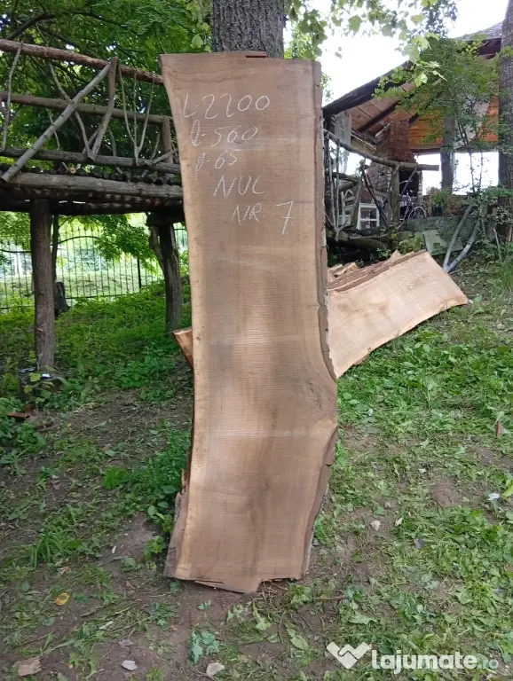 Blaturi din lemn masiv de nuc
