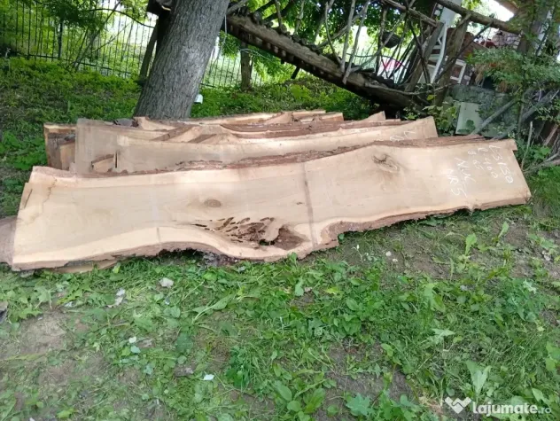 Blaturi din lemn masiv de nuc