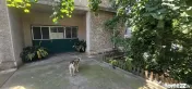 De vanzare - Casa P+1E - Alea Trandafirilor - 220.000 euro 