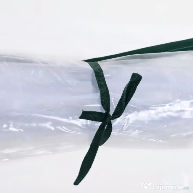 Outsunny Sera de gradina, cadru din otel, PVC, Verde si transparent 250x100x80cm | Aosom Romania