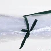 Outsunny Sera de gradina cu cadru din otel si invelis din PVC, 250x100x80cm, Verde si transparent 