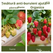 Outsunny Foaie Neagra de Mulci 50x2m pentru Gradina, Sera, Gradina Drenaj 