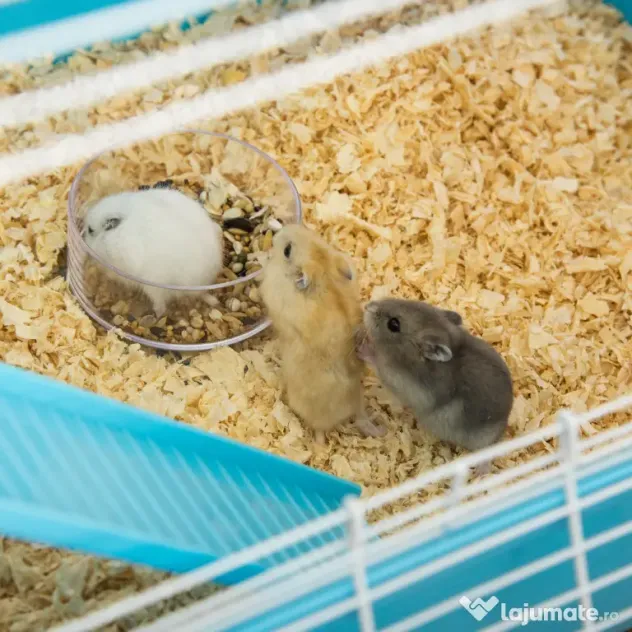 Cusca pentru hamsteri PawHut, refugiu pe 5 niveluri, 59cmx36cmx69cm | Aosom Romania