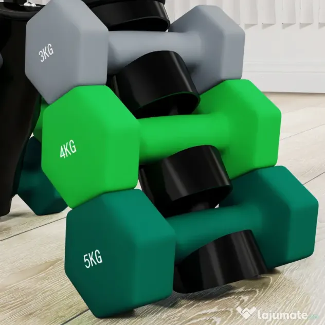 SPORTNOW Set Gantere cu Suport, 3 Perechi de Greutăți de 2 x 3 kg, 2 x 4 kg, 2 x 5 kg, Multicolor | Aosom Romania