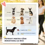 PawHut Cărucior pentru Câini Pliabil cu Husă de Ploaie, Roți Rotative și Pernuță Lavabilă, 77x44x102cm, Gri | Aosom Romania 