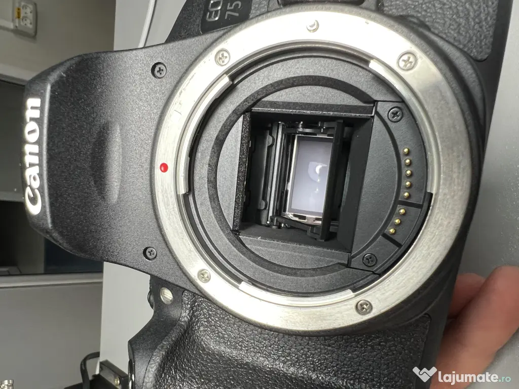 Canon 750D+obiectiv+trepied Manfrotto+6 lumini studio+blitz Metz+suport fundal