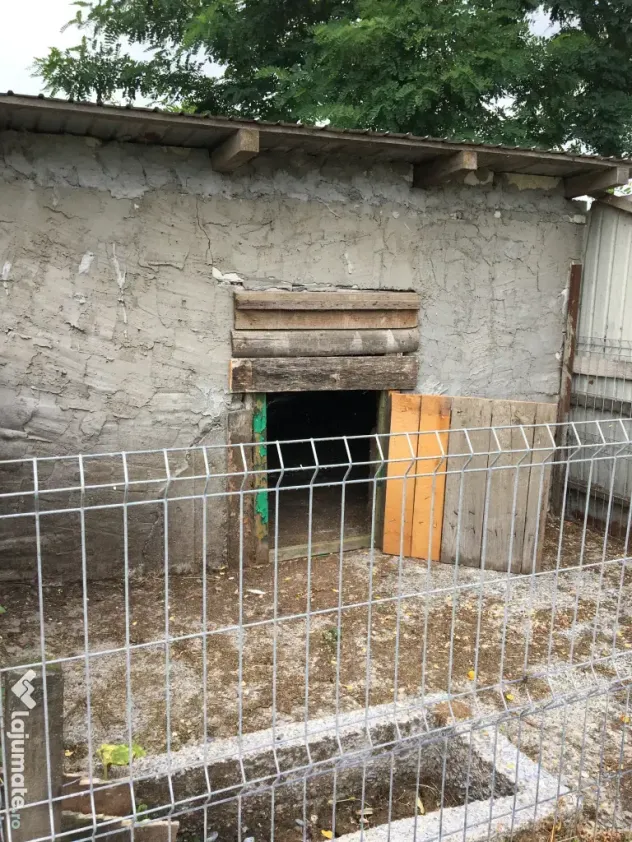 Casa traditionala in Sat Viisoara Mica