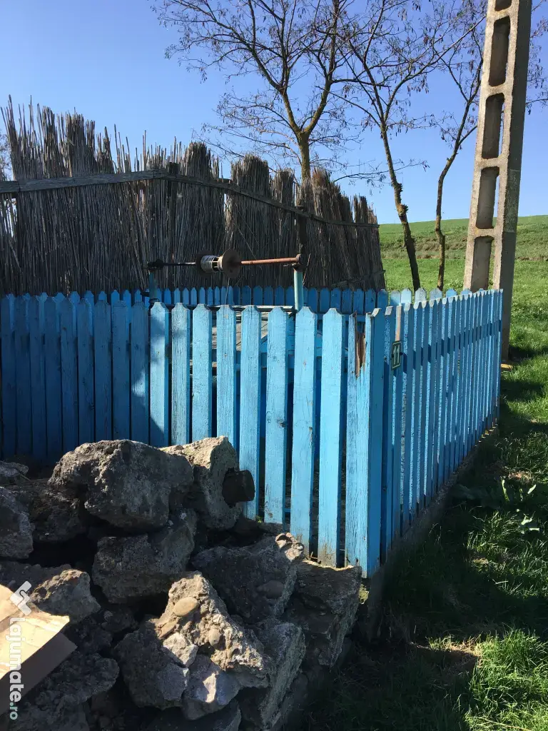 Casa traditionala in Sat Viisoara Mica