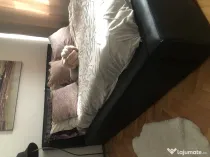 Pat tapitat cu Saltea