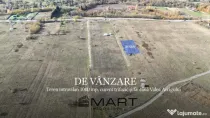 Teren 1000 mp, curent trifazic si fantana Valea Avrigului