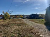 De închiriat: Hale si locuință pe 3 000 mp/ Bascov - A... 
