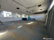 De închiriat: Hale si locuință pe 3 000 mp/ Bascov - A... 