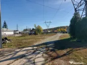 De închiriat: Hale si locuință pe 3 000 mp/ Bascov - A... 