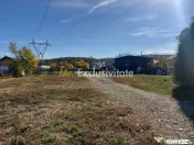 De închiriat: Hale si locuință pe 3 000 mp/ Bascov - A...