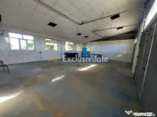 De închiriat: Hale si locuință pe 3 000 mp/ Bascov - A...