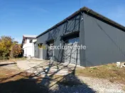 De închiriat: Hale si locuință pe 3 000 mp/ Bascov - A...
