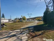 De închiriat: Hale si locuință pe 3 000 mp/ Bascov - A...