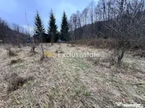 Teren intravilan 6.500 m²–Deschidere 144 ml drum europ...