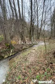 Teren intravilan 6.500 m²–Deschidere 144 ml drum europ...